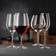 Nachtmann ViVino Red Wine Glass 61cl 4pcs