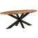 vidaXL - Dining Table 100x200cm