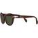 Persol PO0582S 24/31