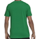 Adidas Adicolor Classics Trefoil T-shirt - Green/White