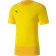 Puma TeamGoal 23 Training Jersey Men - Cyber ​​Yellow/Spectra Yellow