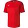 Puma teamFINAL 21 Training Jersey Men - Red/Chili Pepper