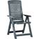 vidaXL 48767 2-pack Garden Dining Chair