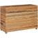 vidaXL Raised Plant Box 40x100x72cm