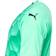 Puma teamFINAL 21 Graphic Jersey Men - Green