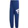 Adidas Sportswear Future Icons Logo Graphic Pants - Victory Blue