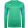 Puma Cup Goalkeeper Long Sleeves Jersey Men - Bright Green/Prism Violet