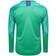 Puma Cup Goalkeeper Long Sleeves Jersey Men - Bright Green/Prism Violet