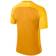 Nike Trophy III Dry Team Jersey Men - University Gold/Tour Yellow/Black