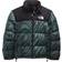 The North Face Printed 1996 Retro Nuptse Jacket - Balsam Green Wooden Tiger Print