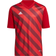 adidas Kid's Entrada 22 Graphic Jersey - Team Power Red 2/Shadow Red