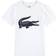 Lacoste Junior Boy's Large Logo T-shirt - White
