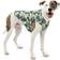 Kurgo Loft Dog Jacket L