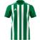 Adidas Striped 21 Jersey Men - Team Green/White