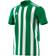 Adidas Striped 21 Jersey Men - Team Green/White