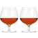 Viski Wingback Drink Glass 50.275cl 2pcs