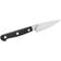 Zwilling Pro 38400-103 Paring Knife 10.01 cm