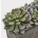 Nearly Natural Artificial Succulent Garden Planter