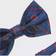 Eagles Wings Oxford Bow Tie - Chicago Cubs