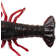 Savage Gear NED Craw 6.5cm Black and Red