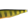 Duo Realis Jerkbait 100DR Gold 10cm