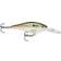 Rapala Shad Rap 9g Live River Shad