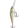 Rapala Shad Rap 9g Live River Shad