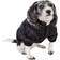 Petlife Classic Metallic Fashion 3M Insulated Dog Coat Parka w/ Removable Hood Large