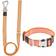 Petlife Escapade Outdoor Series 2-in-1 Convertible Dog Leash and Collar Small