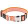 Petlife Escapade Outdoor Series 2-in-1 Convertible Dog Leash and Collar Small