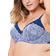 Oola Tonal Lace Underwired Bra - Navy/Lilac