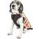 Petlife Allegiance Classical Insulated Plaid Fashion Dog Jacket Medium