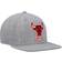 Mitchell & Ness Chicago Bulls Hardwood Classics Team 2.0 Snapback Hat Men - Heather Grey