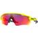 Oakley Polarized Prizm OO9208-D038