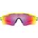 Oakley Polarized Prizm OO9208-D038