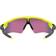 Oakley Polarized Prizm OO9208-D038