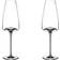 Zieher Vision Rich Wine Glass 28cl 2pcs