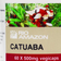 Rio Amazon Catuaba 500mg 60 pcs