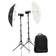 Godox AD300 Pro 2 Light Kit