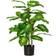 Homcom Evergreen Artificial Plant