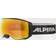 Alpina Naator Hm Ski Goggles Orange/CAT2 White