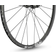DT Swiss C 1800 Spline DB Wheel