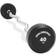 Philosophy Gym Rubber Fixed Pre-Loaded Weight EZ Curl Bar