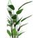 Emerald Heliconia Artificial Plant