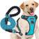 No Pull Dog Harness with 5ft Leash Large