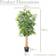 Christow Bamboo Artificial Plant