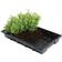 Garland Seed Tray 5-pack