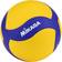 Mikasa Unisex - Adult VT500W Volleyball