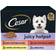 Cesar Juicy Hotpot Adult Wet Dog Food Mixed Selection 8x150g