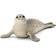 Schleich Seal 14801